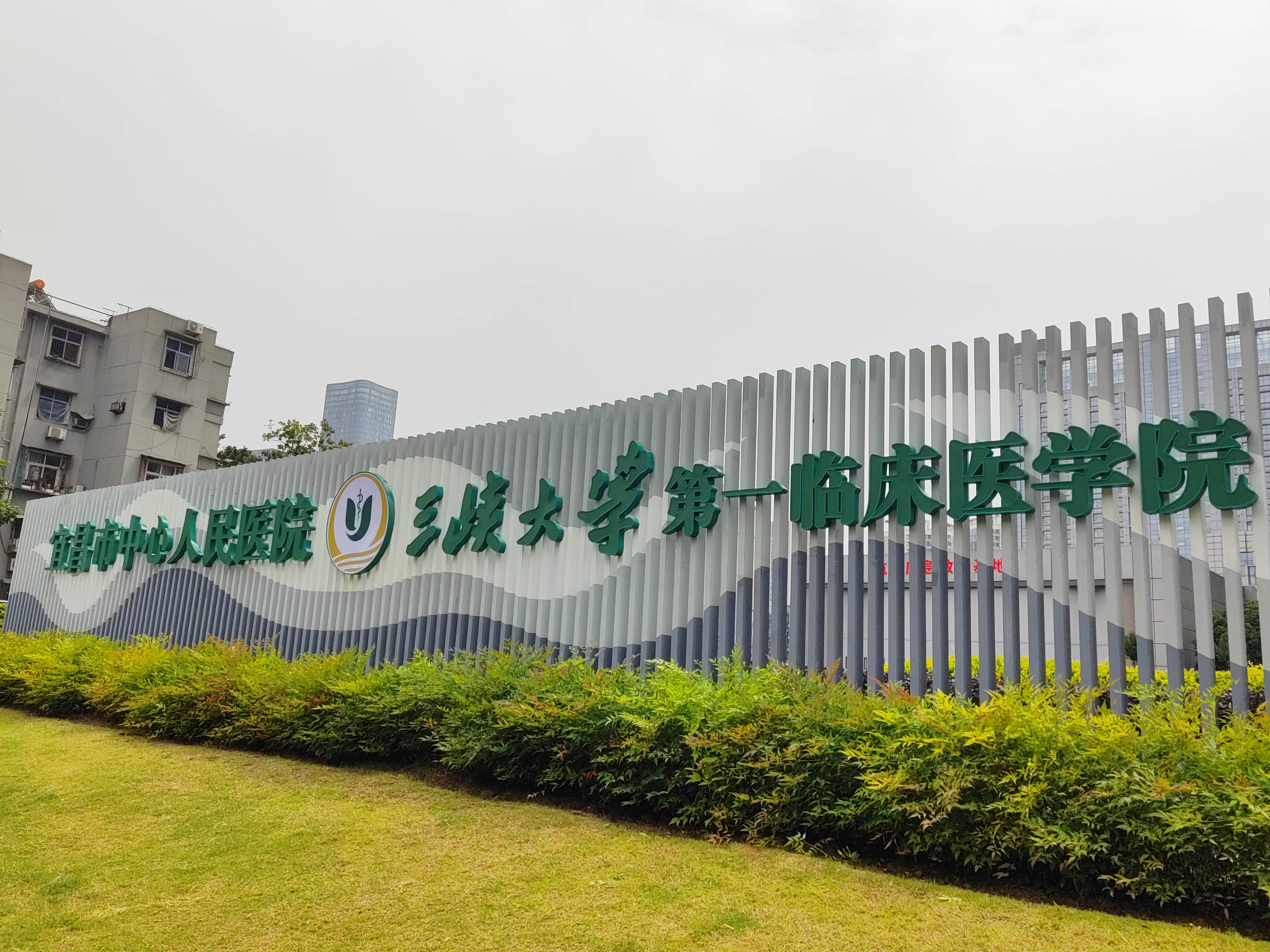 中心医院